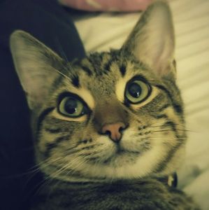 Meet your Posher, Linda